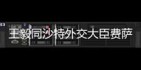 王毅同沙特外交大臣费萨尔举行会谈
