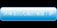 厌倦苍白无趣的墙面
，萨拉玛艺术漆给你惊艳想象!