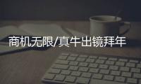 商机无限/真牛出镜拜年　套餐销量火爆