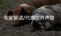 专家解读/代表世界声音　揭美嫁祸霸凌醜恶/大公报记者　赵一存