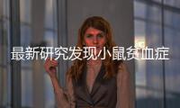 最新研究发现小鼠贫血症机制  或为人类患者提供治疗思路