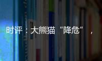 时评：大熊猫“降危”，但生态保护不能降级