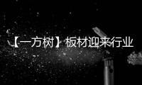 【一方树】板材迎来行业大咖，共谋发展新篇章