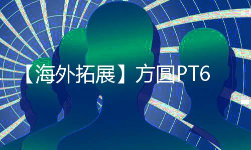 方圆PT6565型塔机出口海外