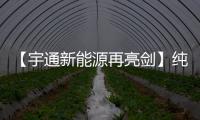 【宇通新能源再亮剑】纯电动港口轮胎起重机即将闪耀天津航运展！
