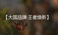 【大国品牌·王者焕新】新工艺、新展示�
、新政策