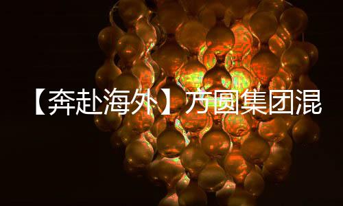 海外混凝项目建成后