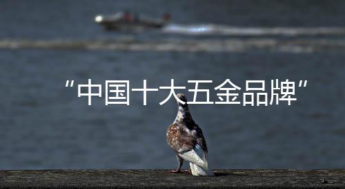 始终保有人文主义的中国感性