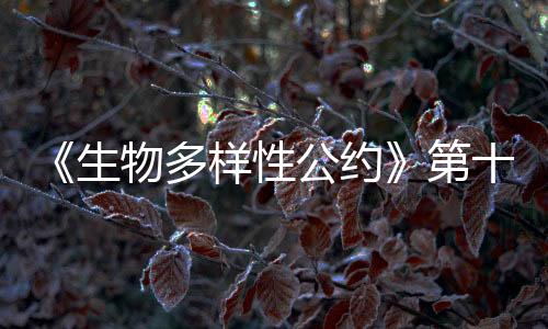 只要在这里做个标记