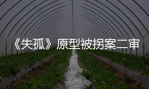 被拐被告唐立霞无期徒刑