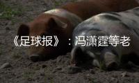 《足球报》
：冯潇霆等老将确认无缘国家队名单