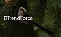 ​TrendForce：新技术产品带动QD
