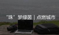 快排公司十年历程，霸屏兔 seo 的崛起与坚守