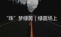 “珠”梦绿茵｜绿茵场上�，向阳花开——平沙实小足球小将的汗水与梦想
