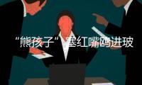 “熊孩子”塞红嘴鸥进玻璃瓶
，护鸥队：抓鸥虐鸥有，但比以前少