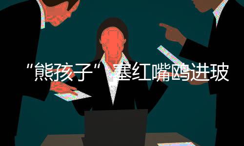 也有游客为了拍到满意照片