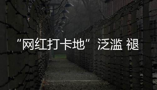 旅游也要选网红城市