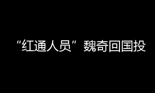 职务犯罪嫌疑人魏奇回国投案