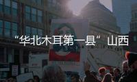 “华北木耳第一县”山西中阳：黑木耳成“富民恒业”
