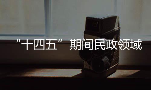 领域民政部部长李纪恒出席