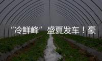 “冷鲜峰”盛夏发车！豪沃重卡夏日冷链盛宴燃爆郑州