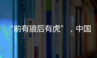 “前有狼后有虎”，中国第三大动力电池生产商赴港上市
