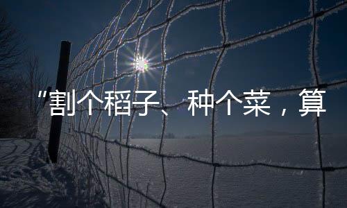 学生在农耕课堂上学习种菜