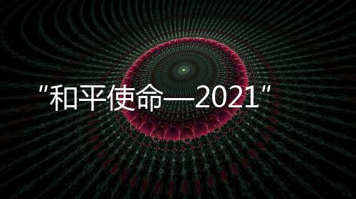 和平着重检验作战方案