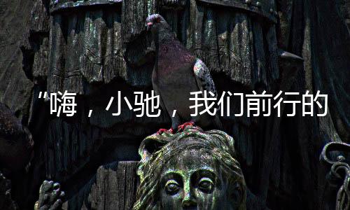 小驰行在语音AI赛道奋斗多年