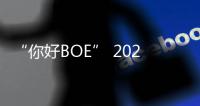 “你好BOE” 2025首站！超酷现场等你来看