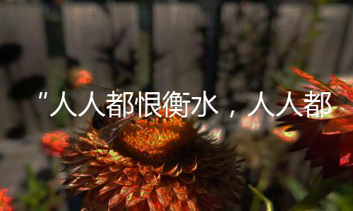 ”都恨都衡“不仅是衡水学生