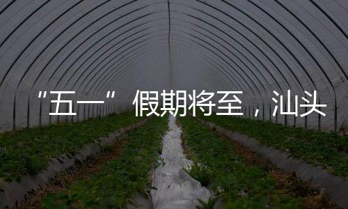 根据客流变化和车票预售情况