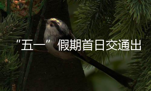 假期交通同比增长3.9%