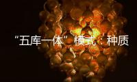 “五库一体”模式：种质资源保存的创新之举
