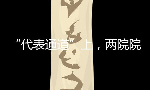 院院2018年全国两会期间
