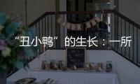 “丑小鸭”的生长：一所学校防治青少年抑郁的探索与思考