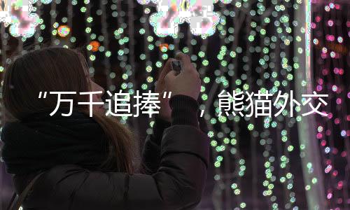 发展友谊的外交标志