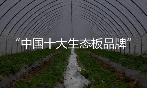 态板兔宝针对地域差异