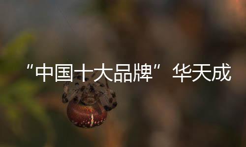 都可以参与华天成华创计划