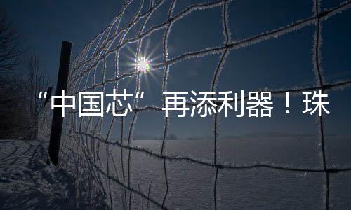 此次发布的中国芯新品