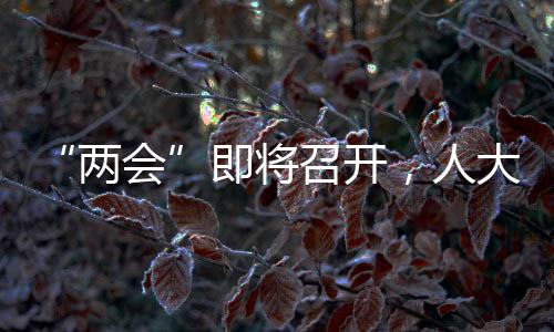 十四届全国人大一次会议