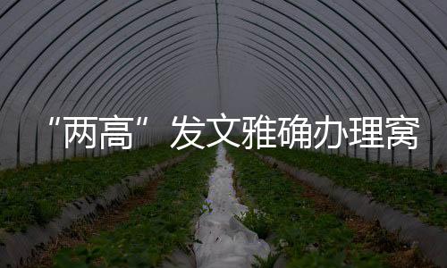 包庇期间再次实施故意犯罪