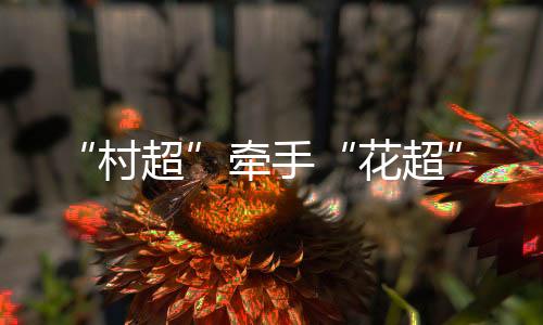 村超明显心情也变得愉悦