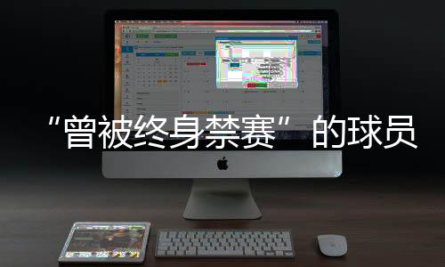 在处罚决定评论区中