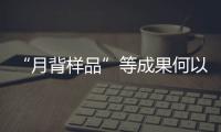 “月背样品”等成果何以入选？专家解读“中国科学十大进展”