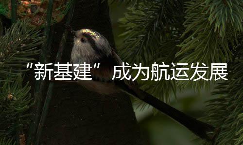 新引以“开启航海新征程