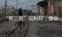 “新三板”迎利好
，谁会是涂料领域蹦出的下一匹“黑马”?