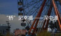 快排公司十年历程，霸屏兔 seo 的崛起与坚守