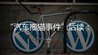 “汽车拖猫事件”后续：三人造谣网暴被行拘