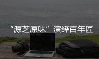 快排公司十年历程，霸屏兔 seo 的崛起与坚守